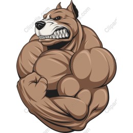 Fierce Muscular Dog