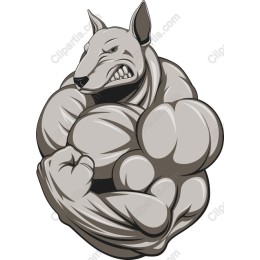 Muscular Dog