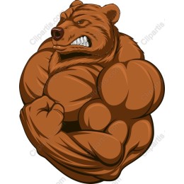 Muscular Bear