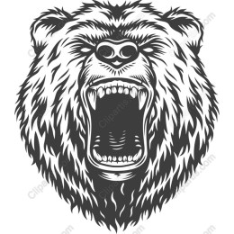 Roaring Bear