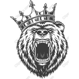 Crowned Bear
