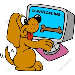 Adorable Dog ing