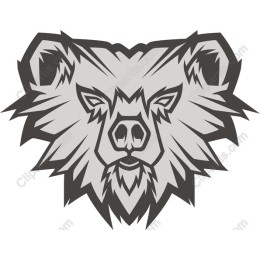 Fierce Bear Head