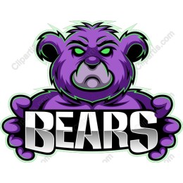 Fierce Purple Bear