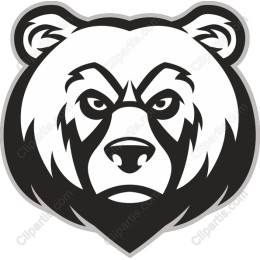 Bold Bear