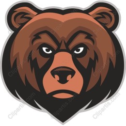 Fierce Brown Bear