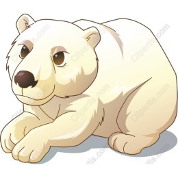 Charming Polar Bear