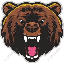 Grizzly Bear Head