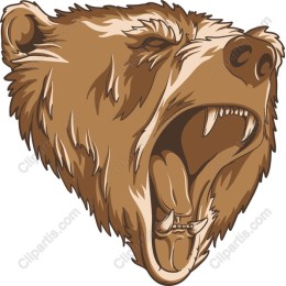 Roaring Bear