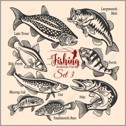 Fishing Set 3 - American Fish