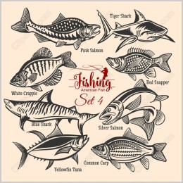 Fishing American Fish Set 4