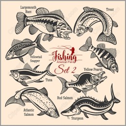 Fishing Set 2 - American Fish Collection