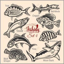 American Fish Set 4 - Vintage Collection