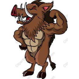 Muscular Boar