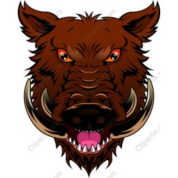 Fierce Boar Head