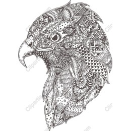 Majestic Bird Head