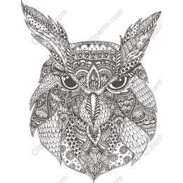 Intricate Owl