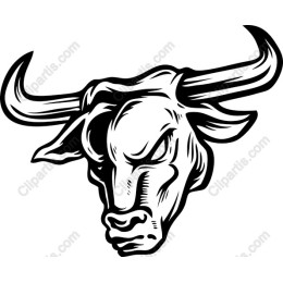 Dynamic Bull Head