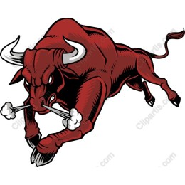 Charging Bull