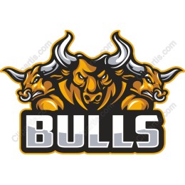 Bulls - Fierce Strength and Power