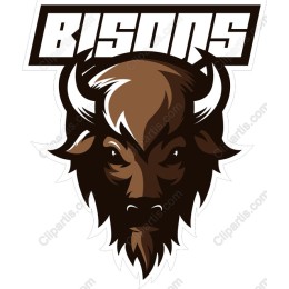 Bison Power