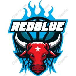 Fierce Bull Basketball Logo