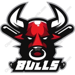Fierce Bull Head