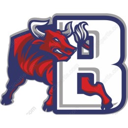 Fierce Bull with Letter B