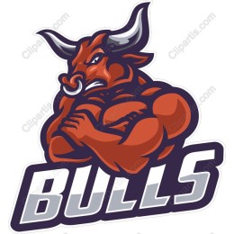 Fierce Bull