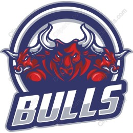 Bulls