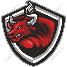 Fierce Bull Shield