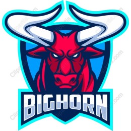 Bighorn Bull