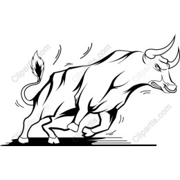 Powerful Bull in Motion