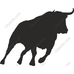 Dynamic Bull