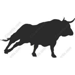 Dynamic Bull