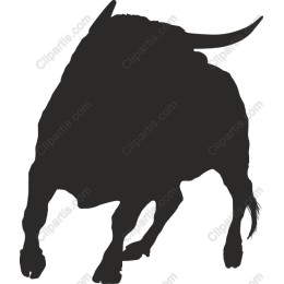 Bull