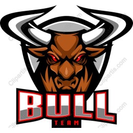 Fierce Bull Team Logo