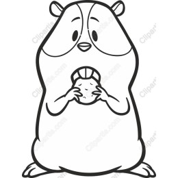 Cute Hamster Eating Cookie