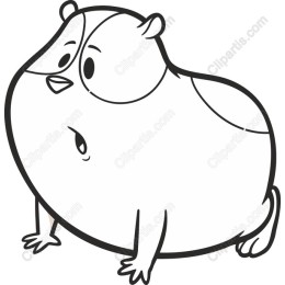 Chubby Hamster