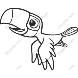 Playful Toucan