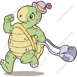 Whimsical Turtle Character