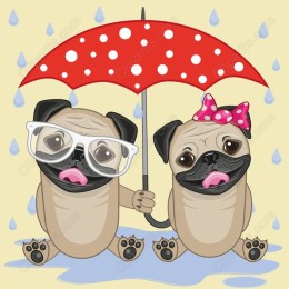 Pugs Under the Umbrella