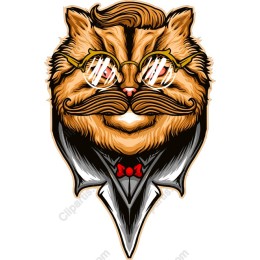 Dapper Cat