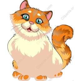 Fluffy Happy Cat in and