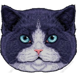 Majestic Cat Portrait