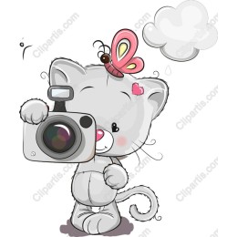 Playful Kitten with Camera