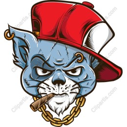 Streetwise Cat