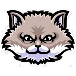 Stylized Cat Face