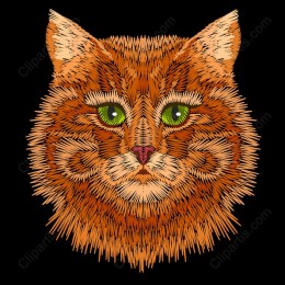 Vibrant Orange Tabby Cat