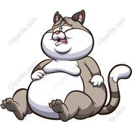 Fat Cat